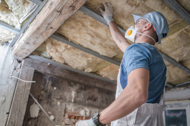 Best Cellulose Insulation in Tennille, GA