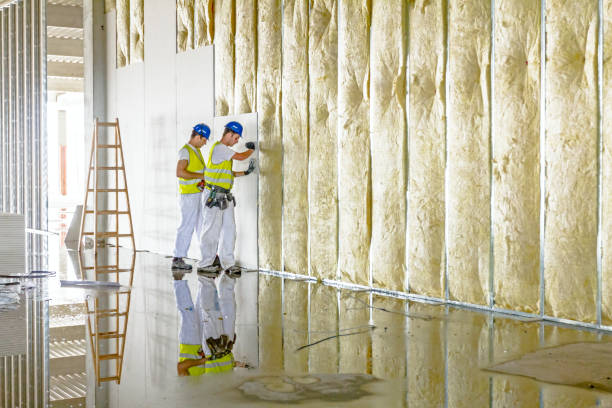 Best Specialized Insulation Services in Tennille, GA